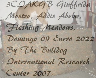 3CIAKGB Giuffrida Mestre, Addis Abeba, Fleshing Meadows, Domingo 09 Enero 2022 By The Bulldog International Research Center 2007. 