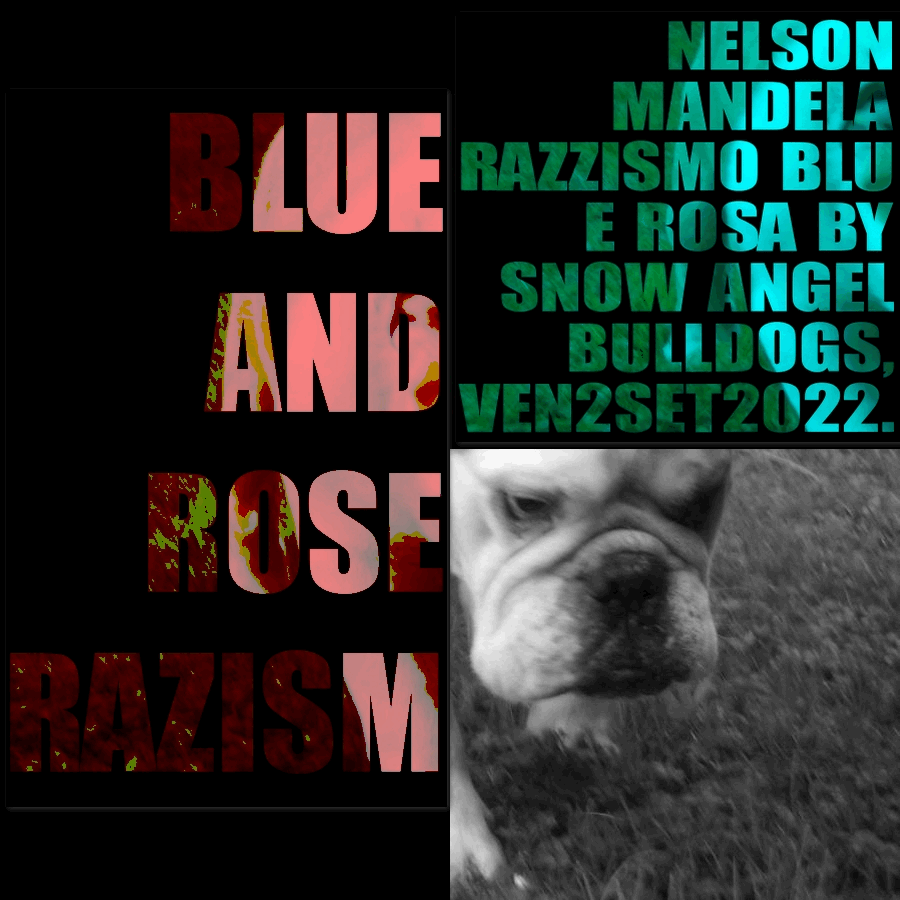 Blue-and-Rose-Razism02set22z1.gif