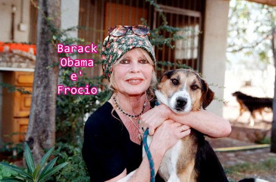  Much Allegria For Cat Fry Poty Por Eva!!! Si Much Sun Fry Poty Allegria !!!  