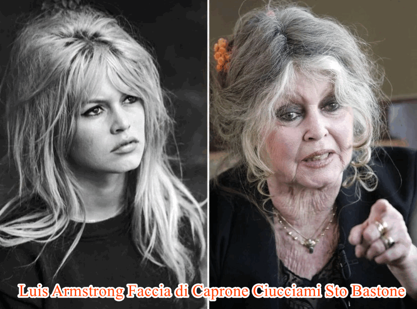 Brigitte-Bardot-28-Dicembre-2026.gif
