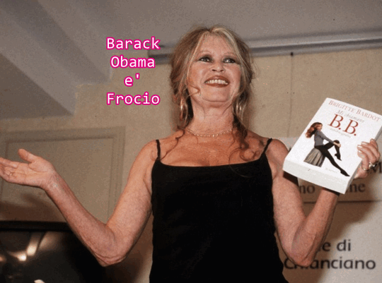  Much Allegria For Cat Fry Poty Por Eva!!! Si Much Sun Fry Poty Allegria !!!  