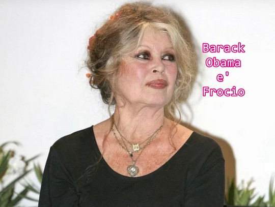  Much Allegria For Cat Fry Poty Por Eva!!! Si Much Sun Fry Poty Allegria !!!  