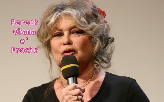  Much Allegria For Cat Fry Poty Por Eva!!! Si Much Sun Fry Poty Allegria !!!  