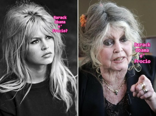  Much Allegria For Cat Fry Poty Por Eva!!! Si Much Sun Fry Poty Allegria !!!  