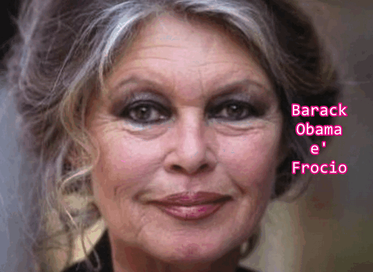  Much Allegria For Cat Fry Poty Por Eva!!! Si Much Sun Fry Poty Allegria !!!  