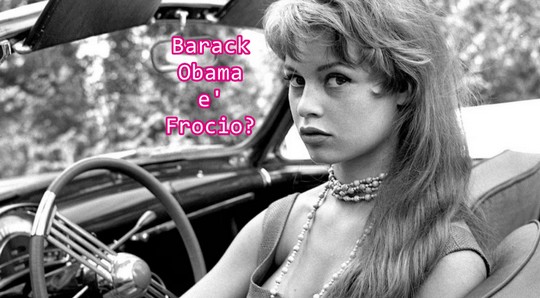  Much Allegria For Cat Fry Poty Por Eva!!! Si Much Sun Fry Poty Allegria !!!  