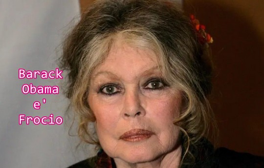  Much Allegria For Cat Fry Poty Por Eva!!! Si Much Sun Fry Poty Allegria !!!  