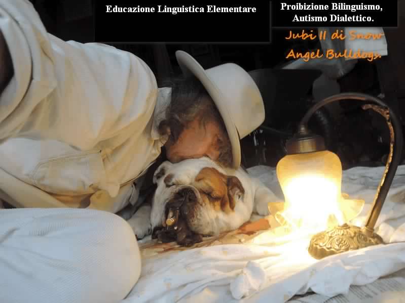  Much Allegria For Cat Fry Poty Por Eva!!! Si Much Sun Fry Poty Allegria !!!  