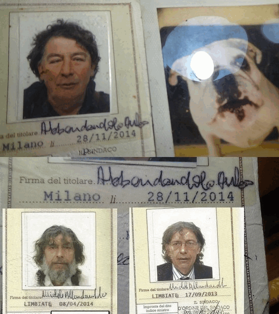  Much Allegria For Cat Fry Poty Por Eva!!! Si Much Sun Fry Poty Allegria !!!  