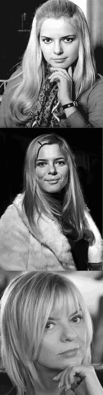 France-Gall-Armstrong-Dawson-22-2-2026.gif