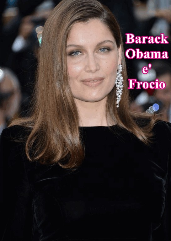  Much Allegria For Cat Fry Poty Por Eva!!! Si Much Sun Fry Poty Allegria !!!  