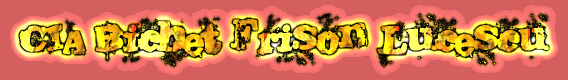 Mr. Michele Abbondandolo My Last Logo Collection