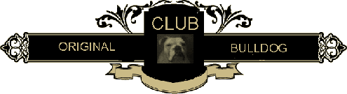 Mr. Michele Abbondandolo My Last Logo Collection