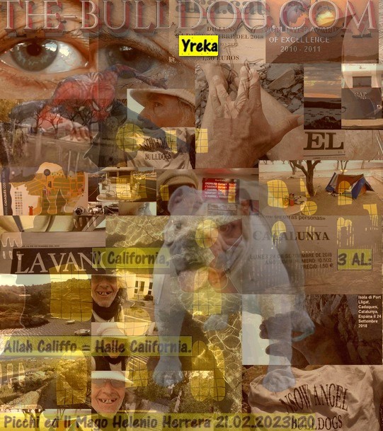 the-psychology-com-2023-feb-22z49.jpg