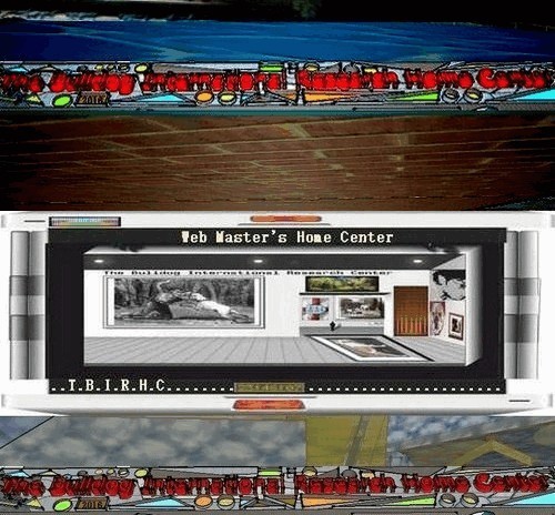 webmastercenterTBIRHC.jpg