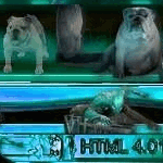 xxlink7.gif