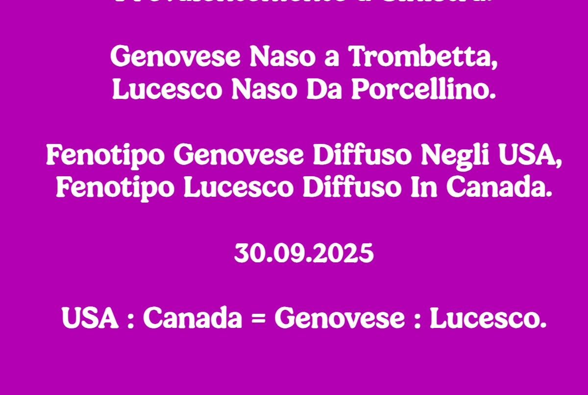 Lucesco-Canada-30septembre2025z15.gif