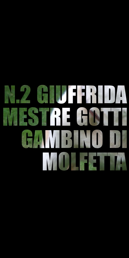 N2-Giuffrida-Mestrez1.jpg