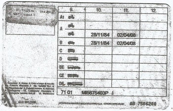 Patente-di-Guida-di-Michele-Abbondandolo.png 
