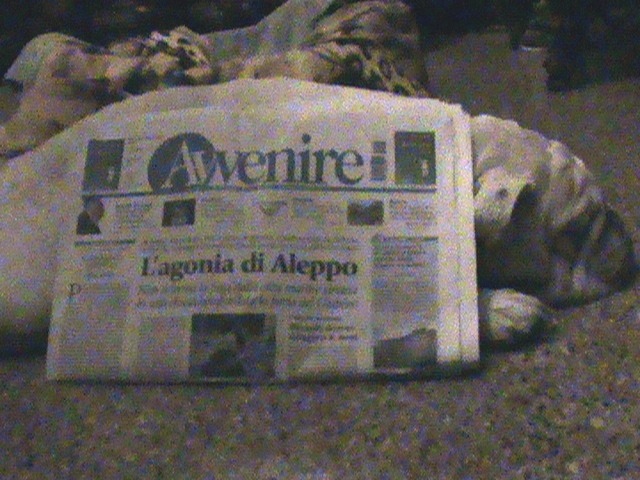  Much Allegria For Cat Fry Poty Por Eva!!! Si Much Sun Fry Poty Allegria !!!  