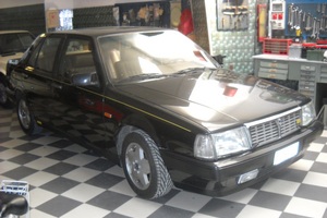  Much Allegria For Cat Fry Poty Por Eva!!! Si Much Sun Fry Poty Allegria !!!  