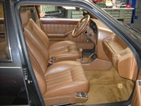  Much Allegria For Cat Fry Poty Por Eva!!! Si Much Sun Fry Poty Allegria !!!  