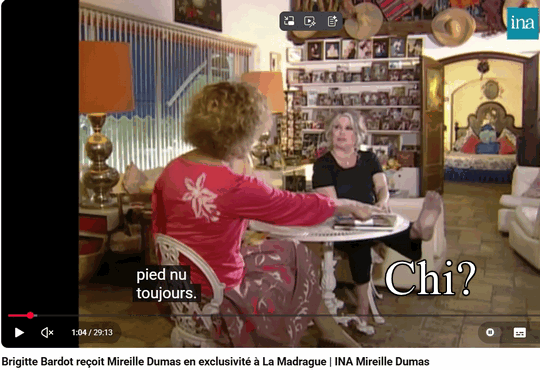 brigitte-27-janvier-2026.gif