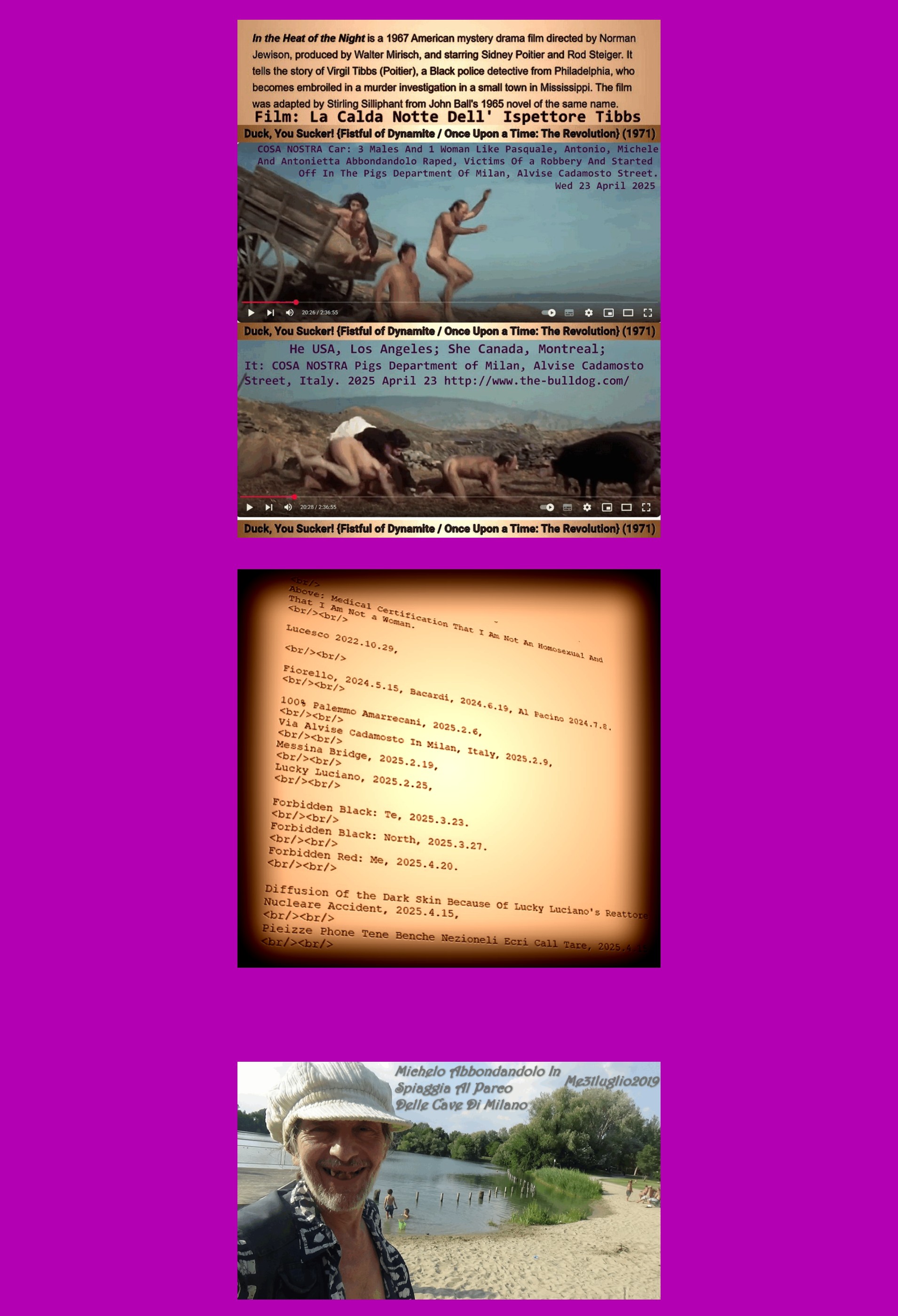 www_the-bulldog_com-20-July-2025-1.png